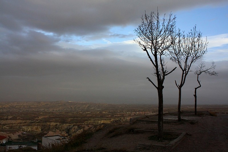 שלושת הצופים.