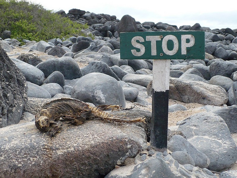 צילום: נעמה פרידמן