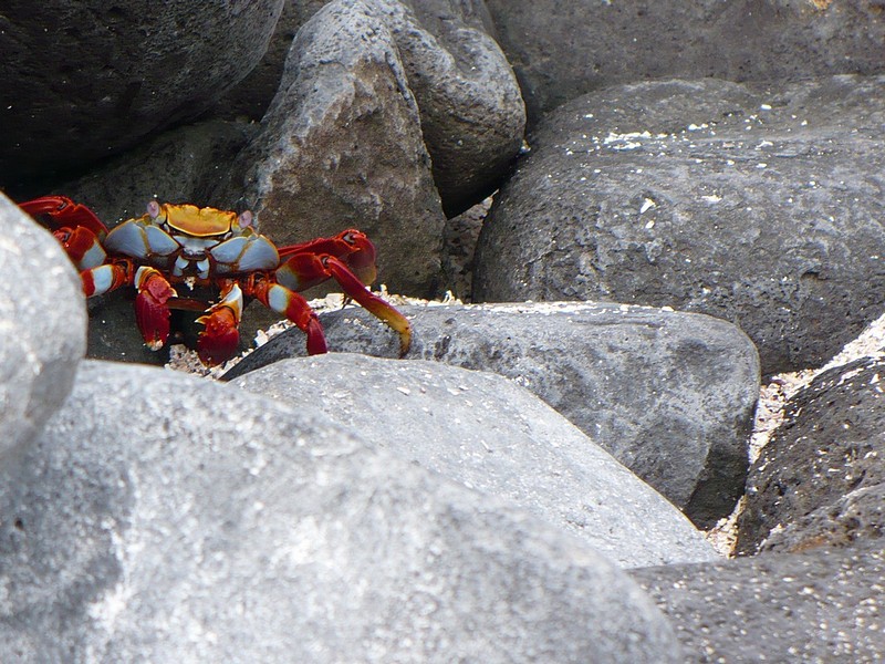 צילום: נעמה פרידמן