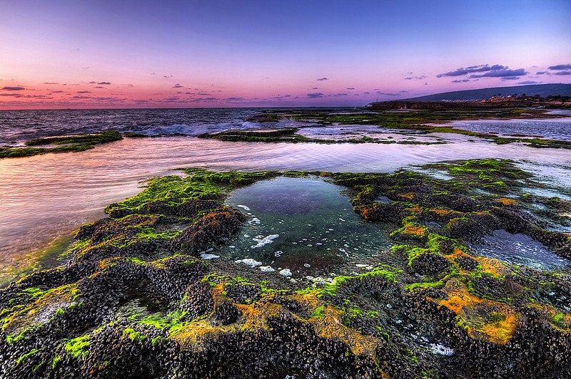 נגיעות ירוקות