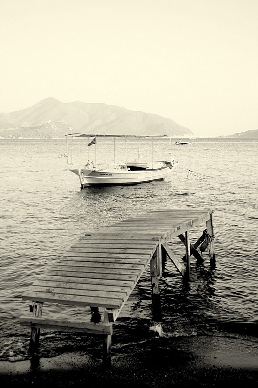 צילום: איתמר בראס