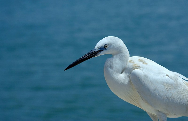 רגע של מחשבה