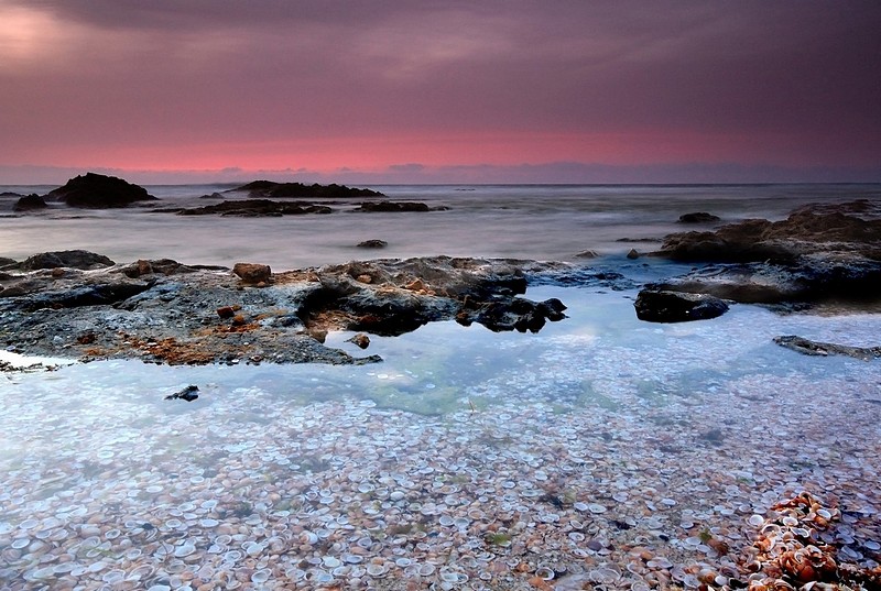 מכאן רואים את קפרסין