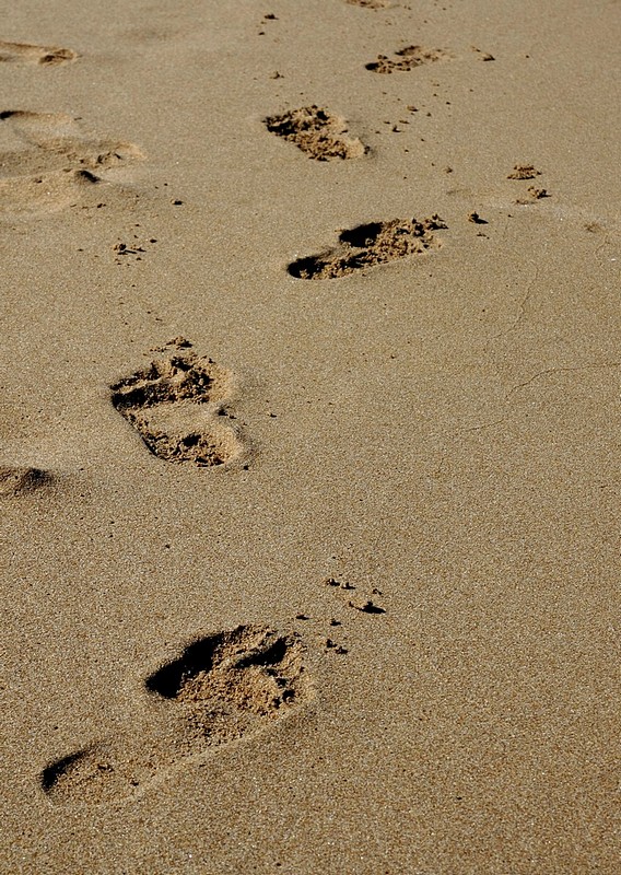 Try walking in my shoe