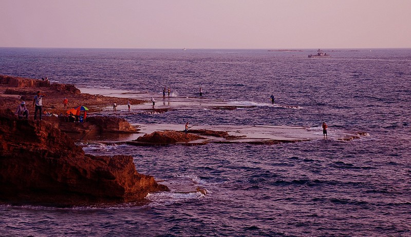 כל אחד בשלו