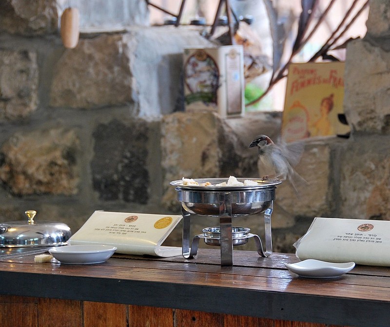 טעימות בבית הבד