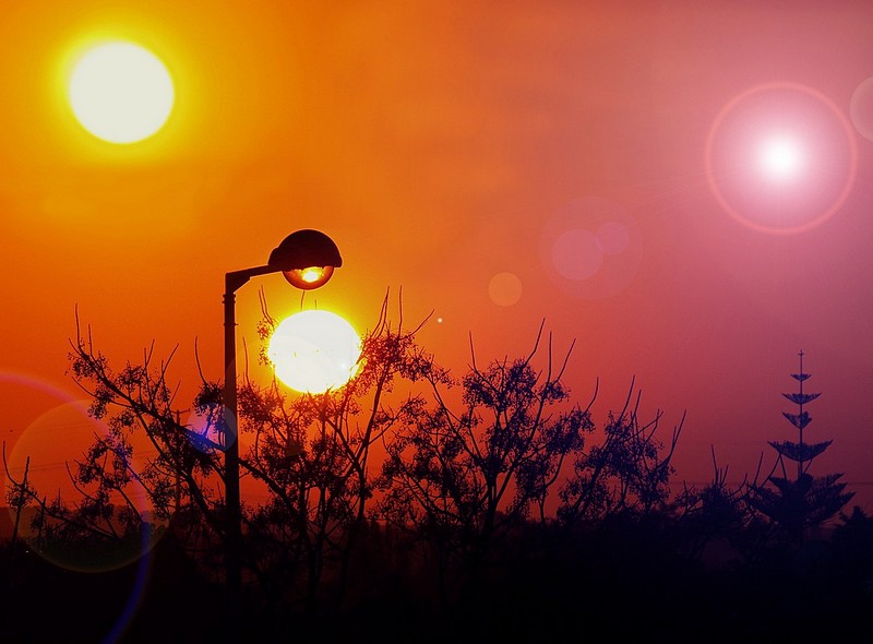 על פלנטה אחרת