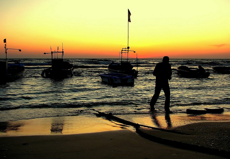 " המלח שלי חזר"... 