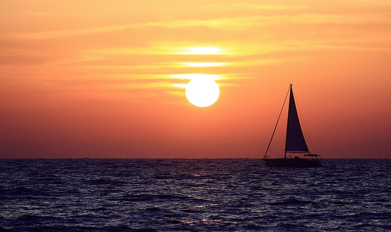 שוטי שוטי ספינתי