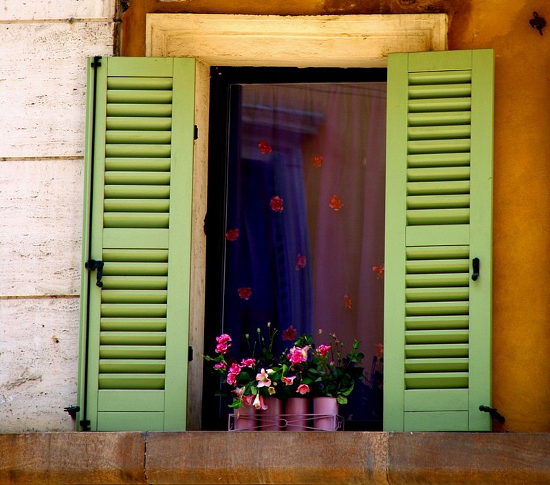 windows 2009