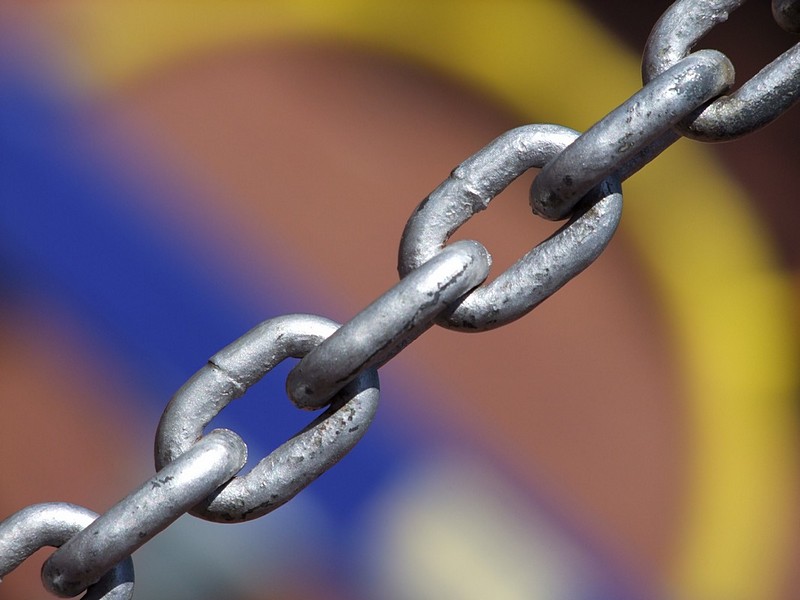 צילום: חנן כ