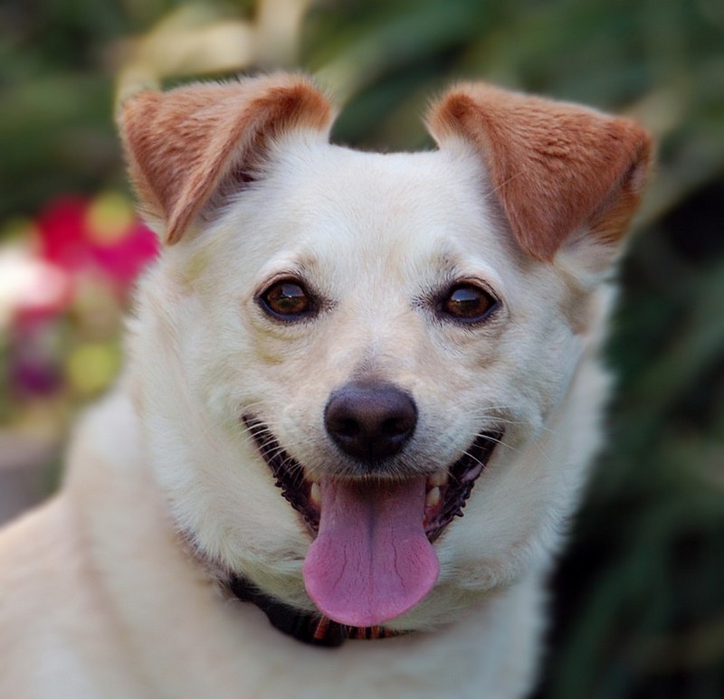 על תבונה ורגישות