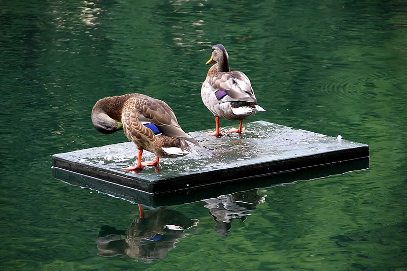 הבטחת סירת מנוע