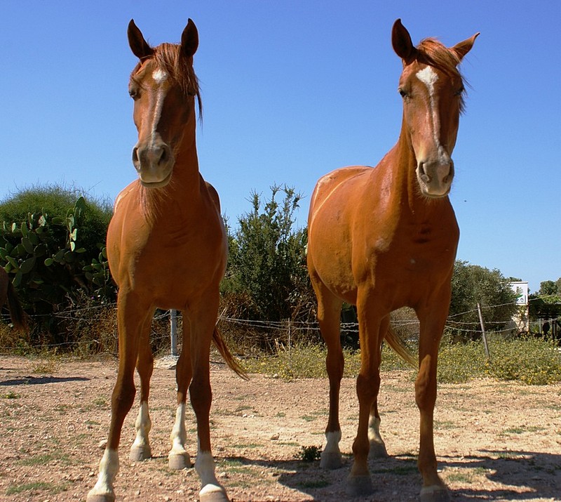 יחד כל הדרך