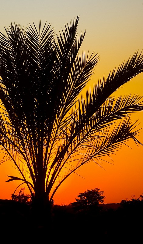 צילום: מעוז טל