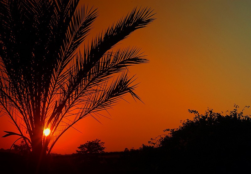 צילום: מעוז טל