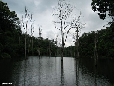 צילום: תמיר ביבי