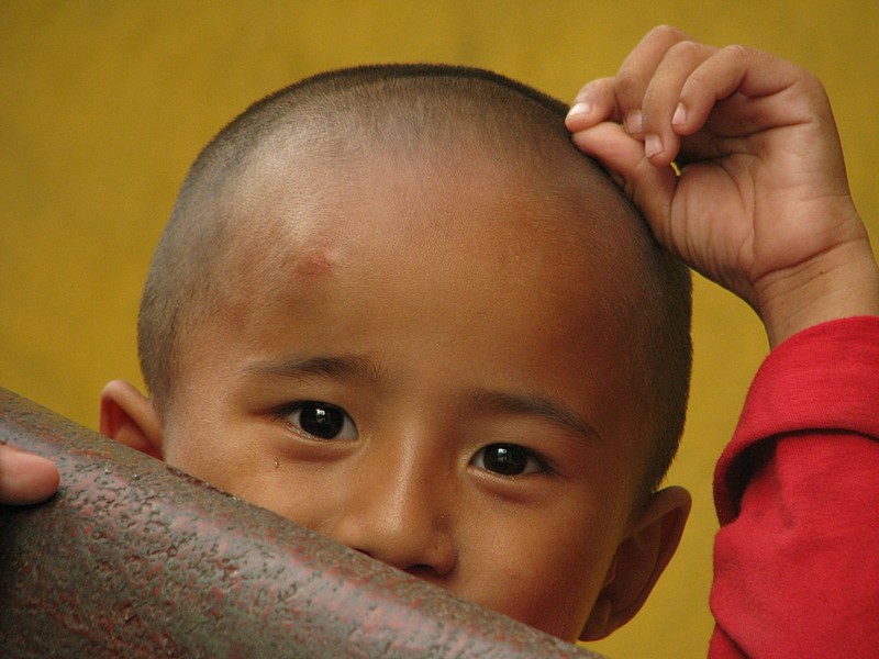 צילום: אביתר כרמון