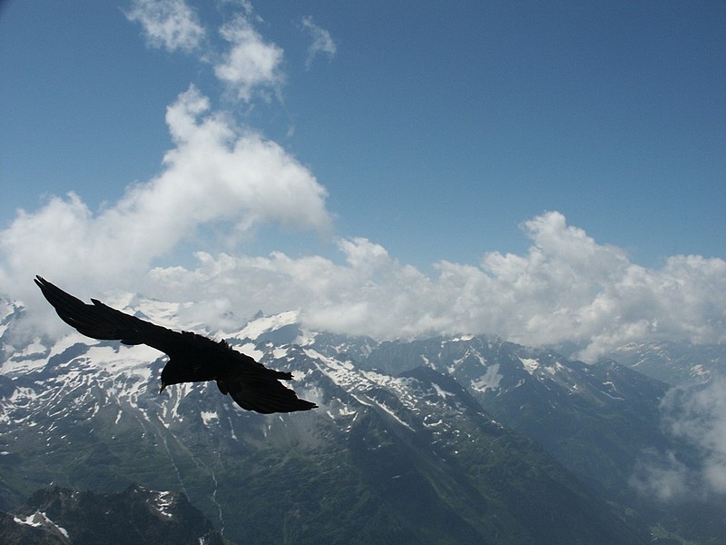 ממעוף הציפור 2