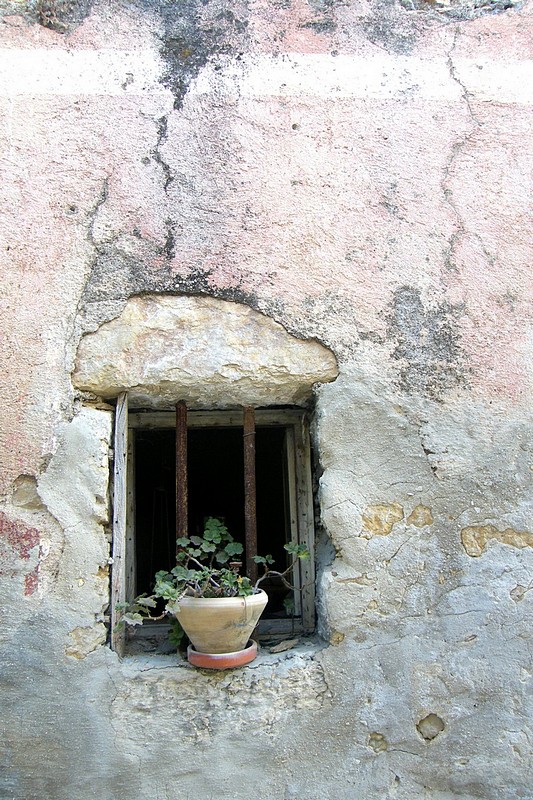 צילום: Daphna R