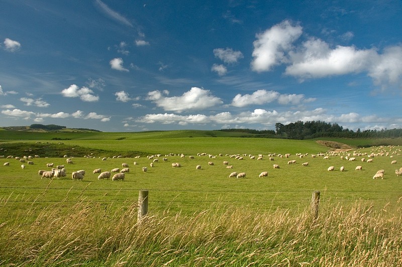צילום: אורי גרתי