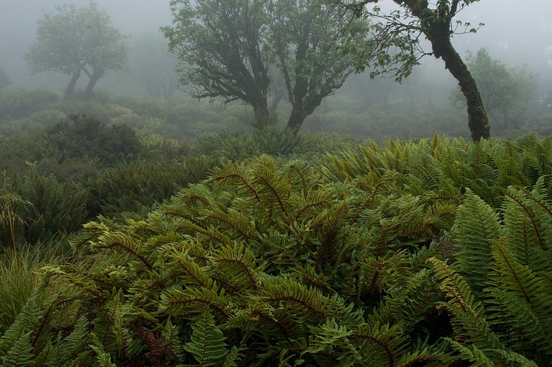 צילום: אורי גרתי