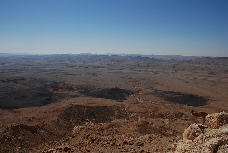 צילום: יובל שמשי