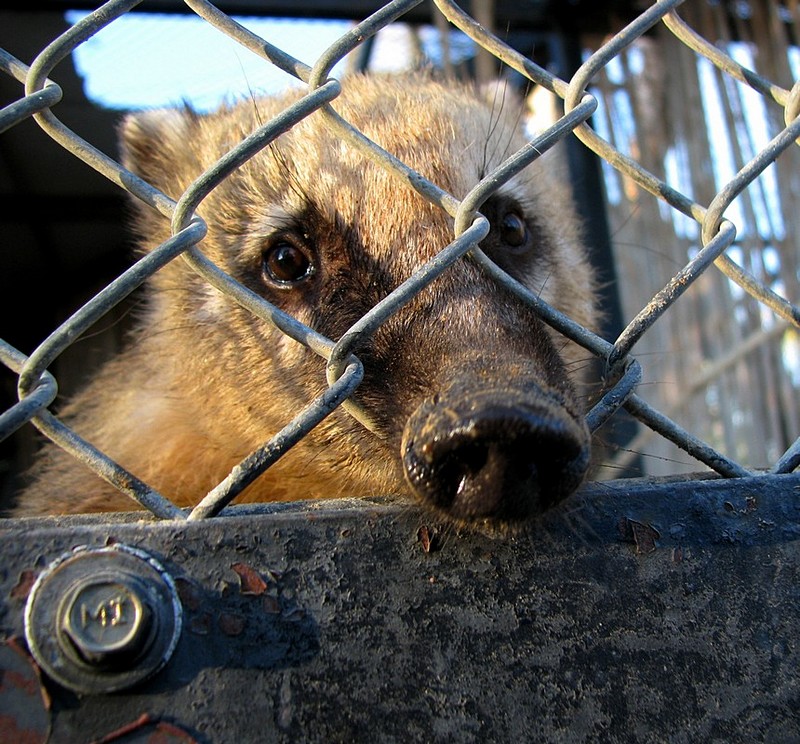 צילום: יוסי שניאור