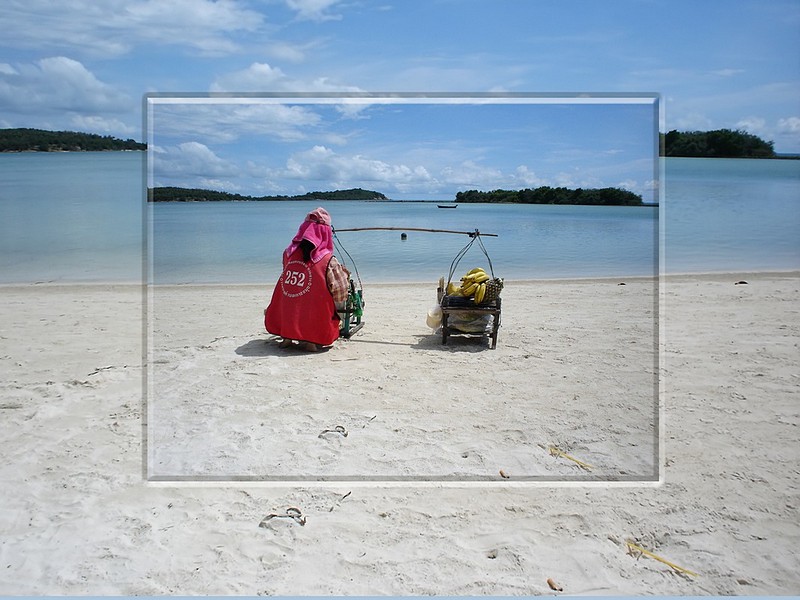 בננות גן עדן