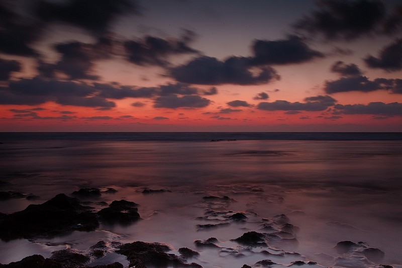 צילום: ניסן לב-רן