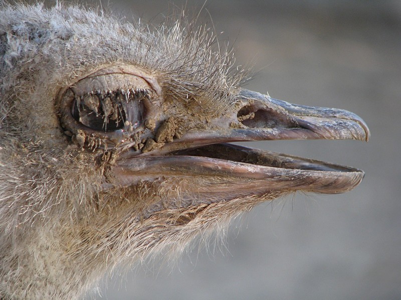 צילום: יוסי שניאור