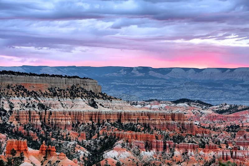 ברייס קניון