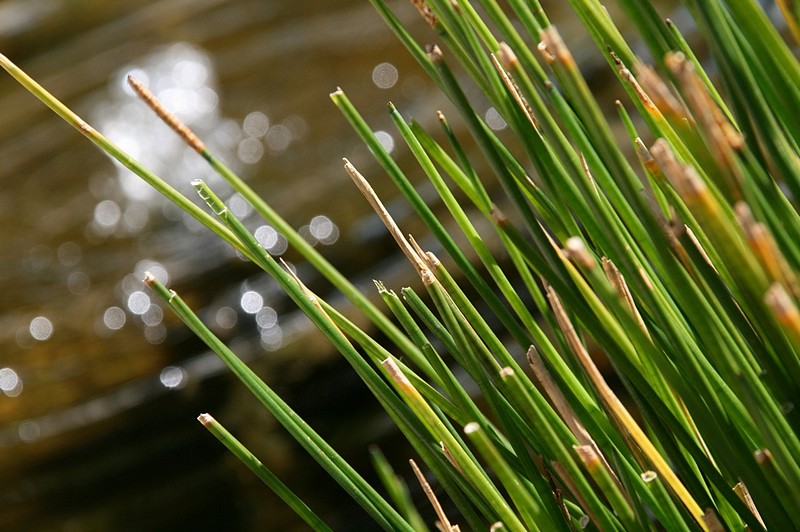 צילום: מורן יעיר