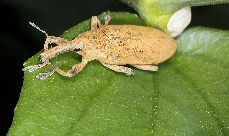 צילום: אלדד גרין