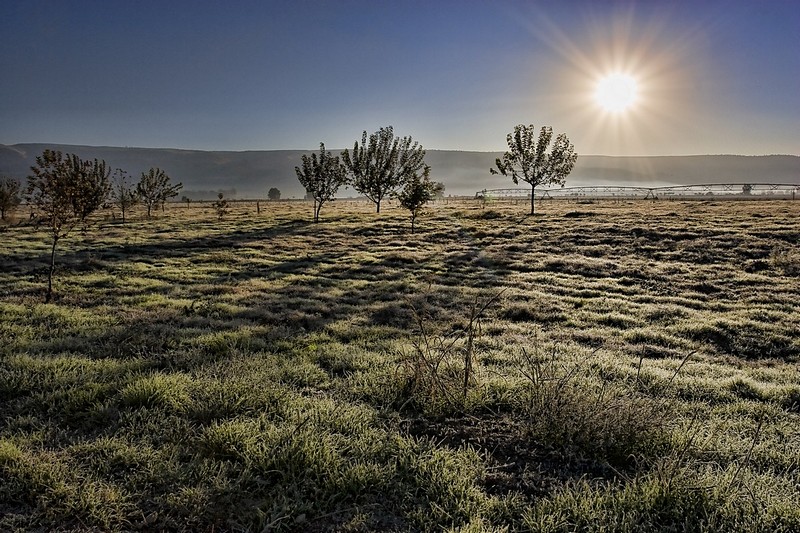 זריחה באגמון החולה