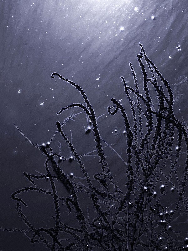 ככה זה התחיל