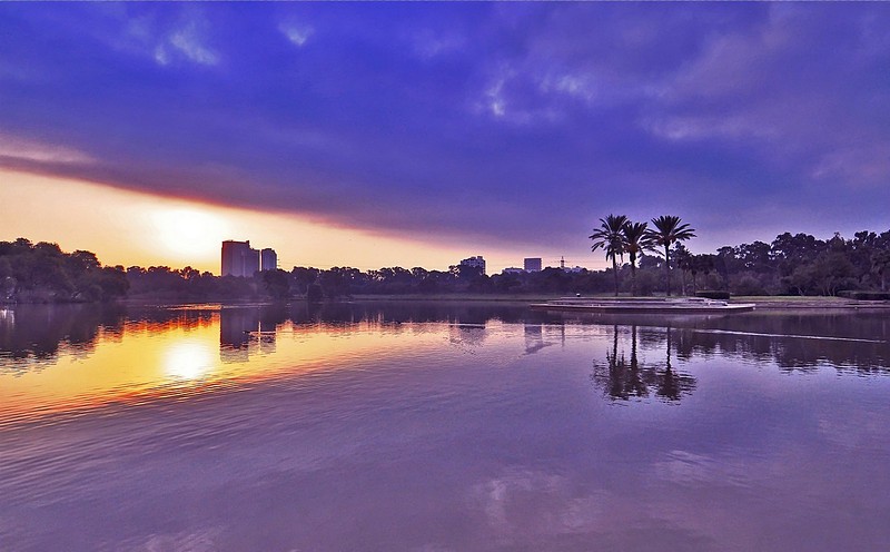 השכם לפני הבוקר