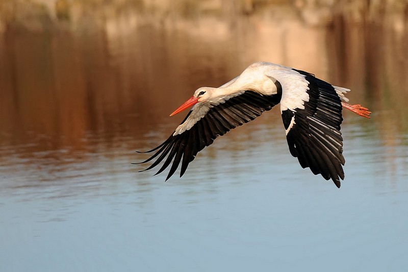 ברוך בואכן לארץ הקודש
