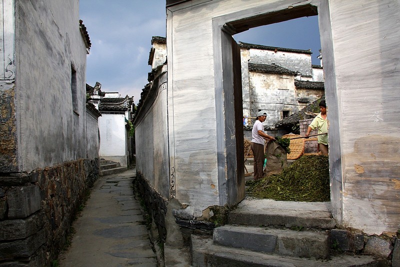 בין הסימטאות.