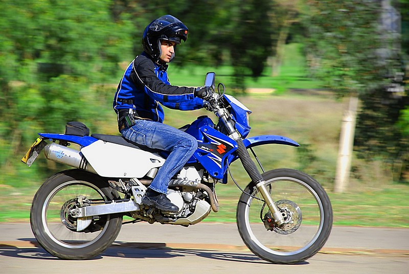 צילום: טל סלמן