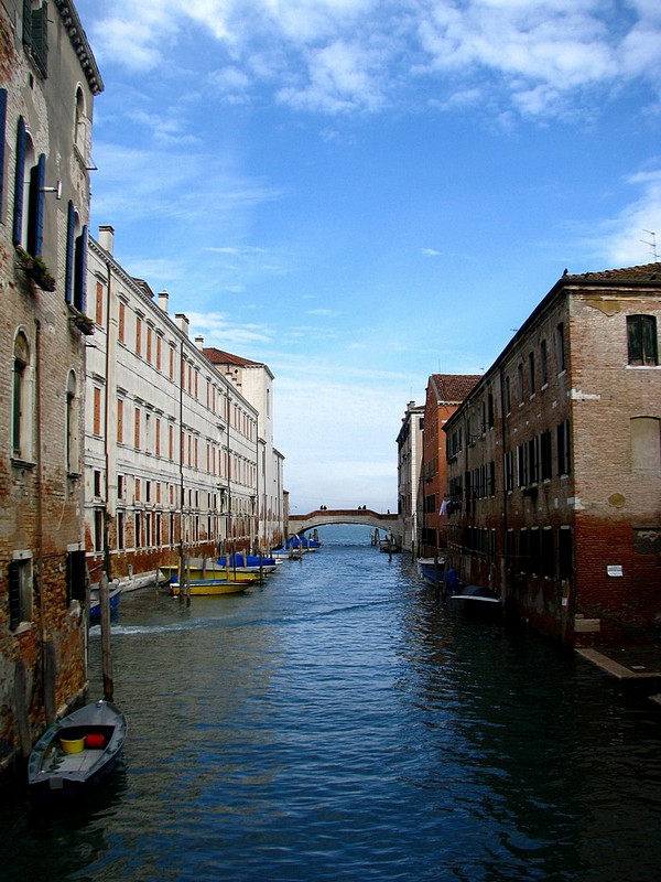 צילום: פורין קריאף