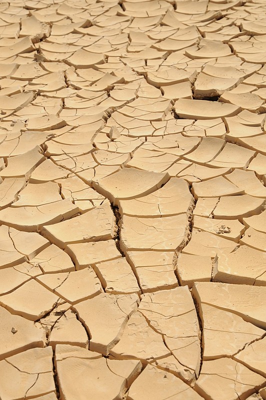 סדקים באדמה