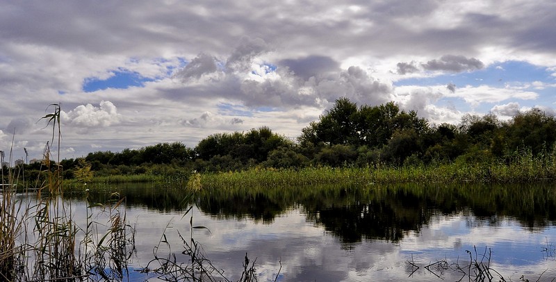 בין מים לשמיים