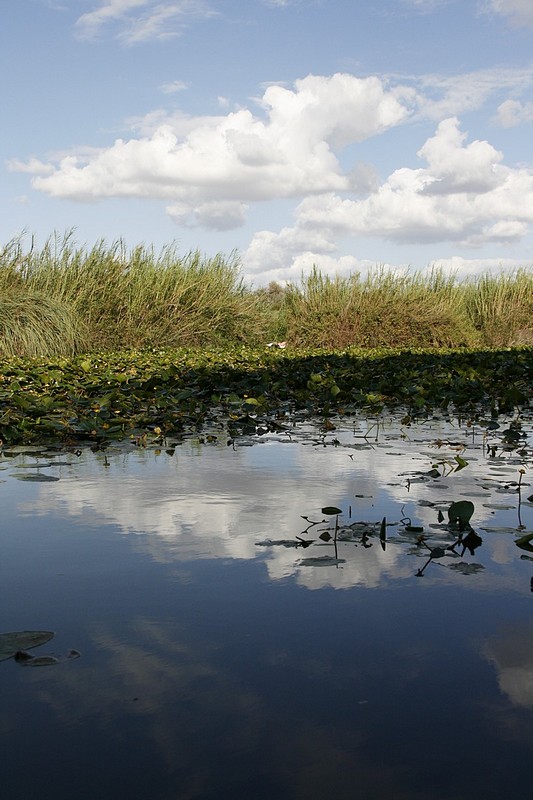 צילום: דוד מזרחי