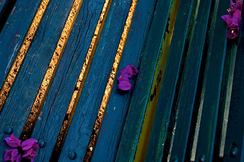 בצבוצים של אור ופרחים