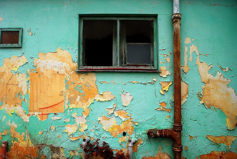 לאן נעלמו הצבעים