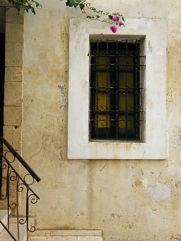 צילום: Daphna R