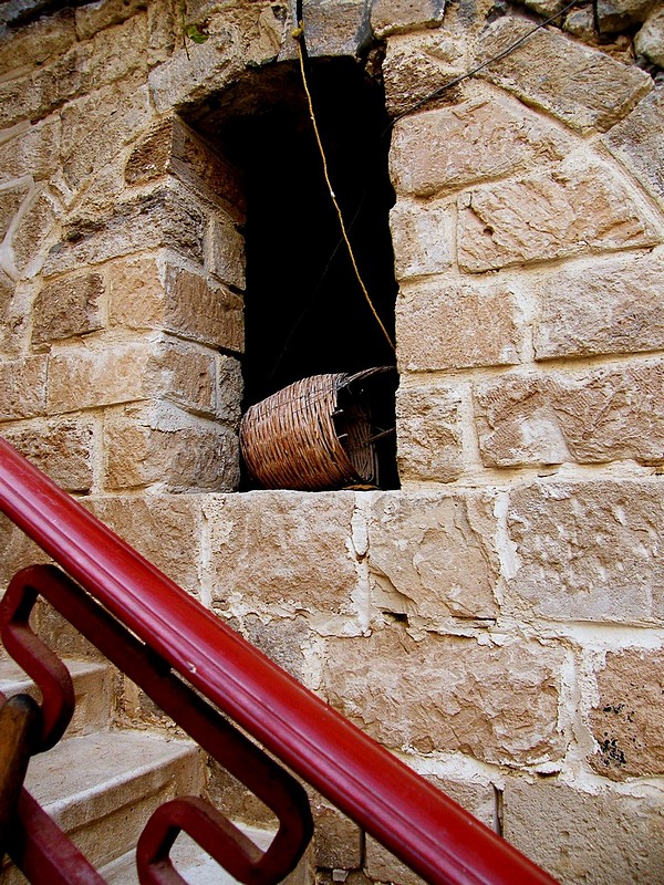 צילום: Daphna R