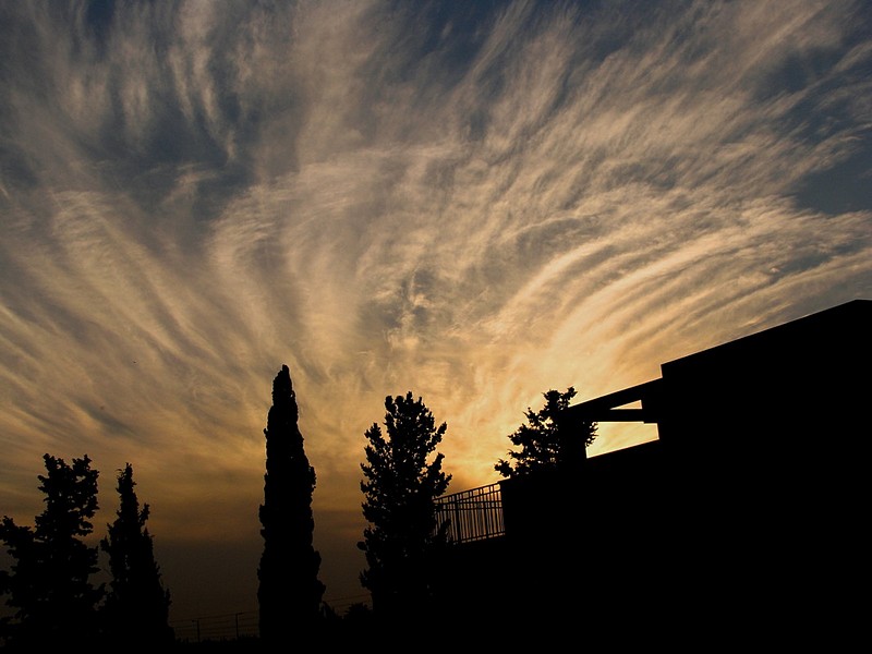 צילום: יוסי שניאור