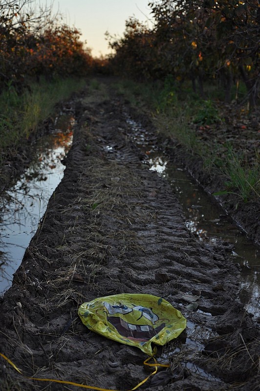 מצא את מותו